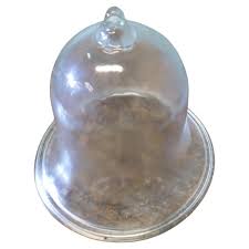 Glass Bell Cloche in Glass | Chairish