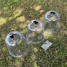 Large Plastic Plant Protection Garden Bell Cloche Covers ...