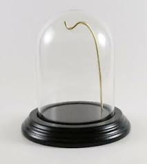 Pocket Watch Dome | eBay