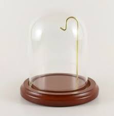 Plastic Display Dome | eBay