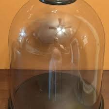 NEW Hyde & and EEK! Target Halloween Plastic Cloche Dome Bat ...