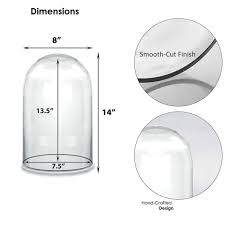 Glass Cloche Display Dome Cover Bell Jar | Glass Vases Depot