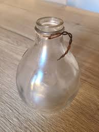 Old Glass Fly or Wasp Trap From the Early 20th Century. - Etsy