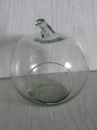 Glass Demijohn Carboy Apple Pumpkin Shaped Wine Jug ...