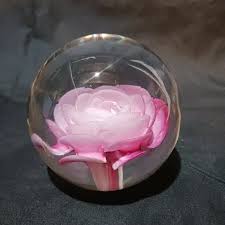 Art | Rose Paper Weight | Poshmark