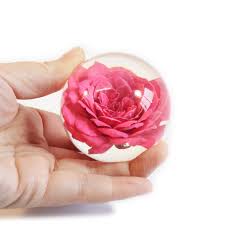 Amazon.com: REALBUG GLF6001 Globe, Pink : Toys & Games