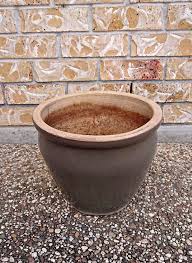 Plant Pots for sale in Booval, Queensland | Facebook ...