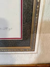 Vintage Framed Parrot Print by Ornithological Artist Jacque ...