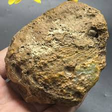 298g natural Bonsai Suiseki-Natural Gobi Agate Eyes Stone ...