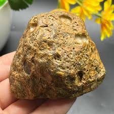 209g natural Bonsai Suiseki-Natural Gobi Agate Eyes Stone ...