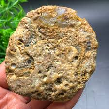 268g Natural Bonsai Suiseki Gobi Agate Eyes Stone-Stunning ...