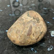 Natural Moss Agate From Northern Michigan Not Cut Yet Large 14oz Rock Stone | eBay