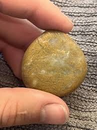 Found on a beach in San Francisco : r/whatsthisrock