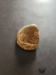 Any idea what kind of rock this is? : r/whatsthisrock