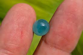 Natural grandidierite 3.72 ct - Pōʻani cabochon - ʻōmaʻomaʻo ...