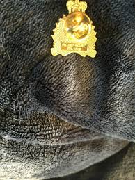 Vintage Rare Royal Canadian Mounted Lapel Pin | eBay