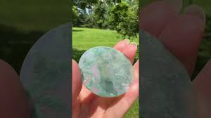 Moss Agate Polished Round Slice #6| Gems & Minerals Rock