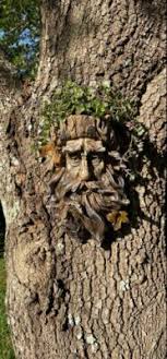 Halloween Tree Face Sculpture Treant Art Wood Indoor Outdoor ...