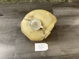 1984 - 1989 NISSAN 300ZX FLUID RESERVOIR BOTTLE Z3 | eBay