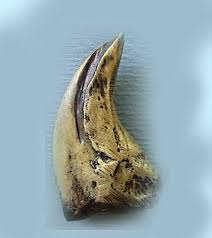 2 MODEL 3IN HUGE BLACK BEAR CLAWS #RK18 imitation big bear ...