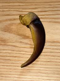 Replica Claw — Fortress of the Bear