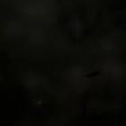 Does anyone know what species it is? I found it in Cancun mexico and we think it is a parrot fish or maybe a puffer fish. : r/marinebiology