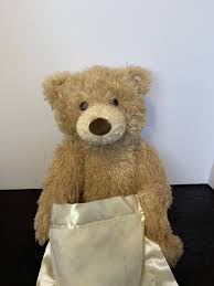 Baby Gund Animated Peek A Boo Bear Plush Stuffed Animal ...