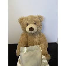 Gund | Toys | Baby Gund Animated Peek A Boo Bear Plush ...
