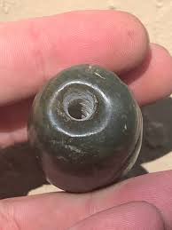 Why do these two cicadas look different?