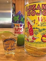 Amazon.com | GO FROZEN Inspired by Harry Potter Shot Glass/Cup-I Solemnly Swear-Cool Shot Glasses for Men/Women-Mischief Managed-1.75 oz: Shot Glasses