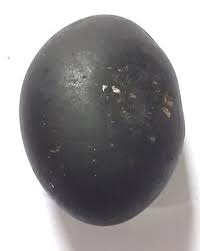 Laddu Gopal Shaligram Stone Gandaki River Nepal 51.6 grams ...