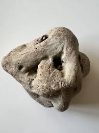 ADDER /HAG /WITCH Stone From 65 MILIONS YEARS AGO. | eBay