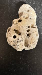 Found on the beach this morning. Not a dense stone. Almost like sandstone. I have never seen sandstone with penetrating holes before. Any ideas? | Facebook