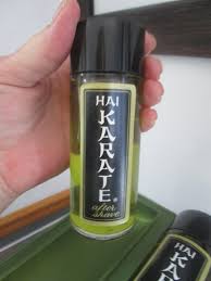 Vintage Set of Hai Karate Cologne & Aftershave in Original ...