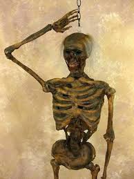 Life- Size Rotted Skeleton – The Horror Dome