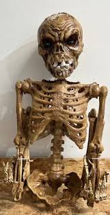 Home Accents Holiday 6ft Grave & Bones Poseable Skeleton Creeper With LifeEyes for Sale in North Las Vegas, NV - OfferUp