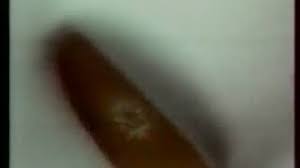 Egy kis nosztalgia 2.évad-Danone reklám 1991 - YouTube