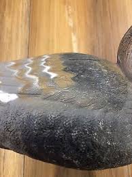 Vintage Hand Carved Working Duck Decoy ~ Chesapeake Find | eBay