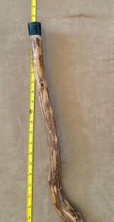 33" Bent Wood curved Walking Stick wood medium tone vintage ...