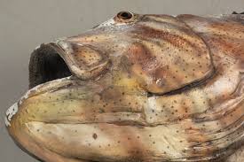 Olivier Fleury French Antiques-French Architectural and ...