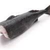 Black COD Frozen Fish (Japan) - Sushiguidelb