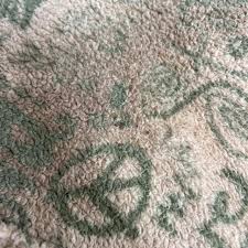 Urban outfitters sherpa sweater! 🤎🍾 I loved this... | Depop