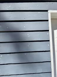 Small white circles found on my house about the size of a cap : r/Whatisthis