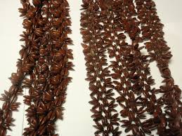 Lot 7 Vintage Dried Appleseed Folk Art Necklaces | eBay