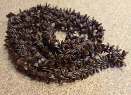 Set Of 5 Vintage Brown Apple Seed Necklaces Koa Hawaiian Multi Lengths | eBay