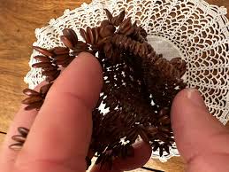 Antique Folk Art Seed Miniature Purse, Brown Seeds, Tension Closure Around Seed Bundle, Apple Seeds, 1960s - Etsy