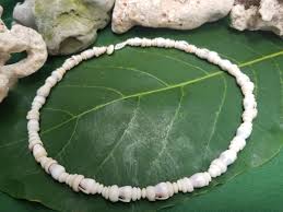 Puka Shell Necklace: Dwarf Cone Shells, Puka Shells, Kauai ...