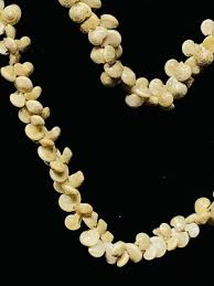 Vintage Tiny Small Snail Shell Necklace Jewelry 18” Costume ...