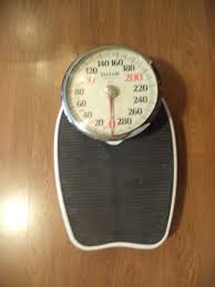 Taylor Professional Scale Extra Large Dial 400 Pound ...