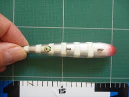 ジャッカル 陸式・アンチョビミサイル 21ｇ カラー名不明 ...